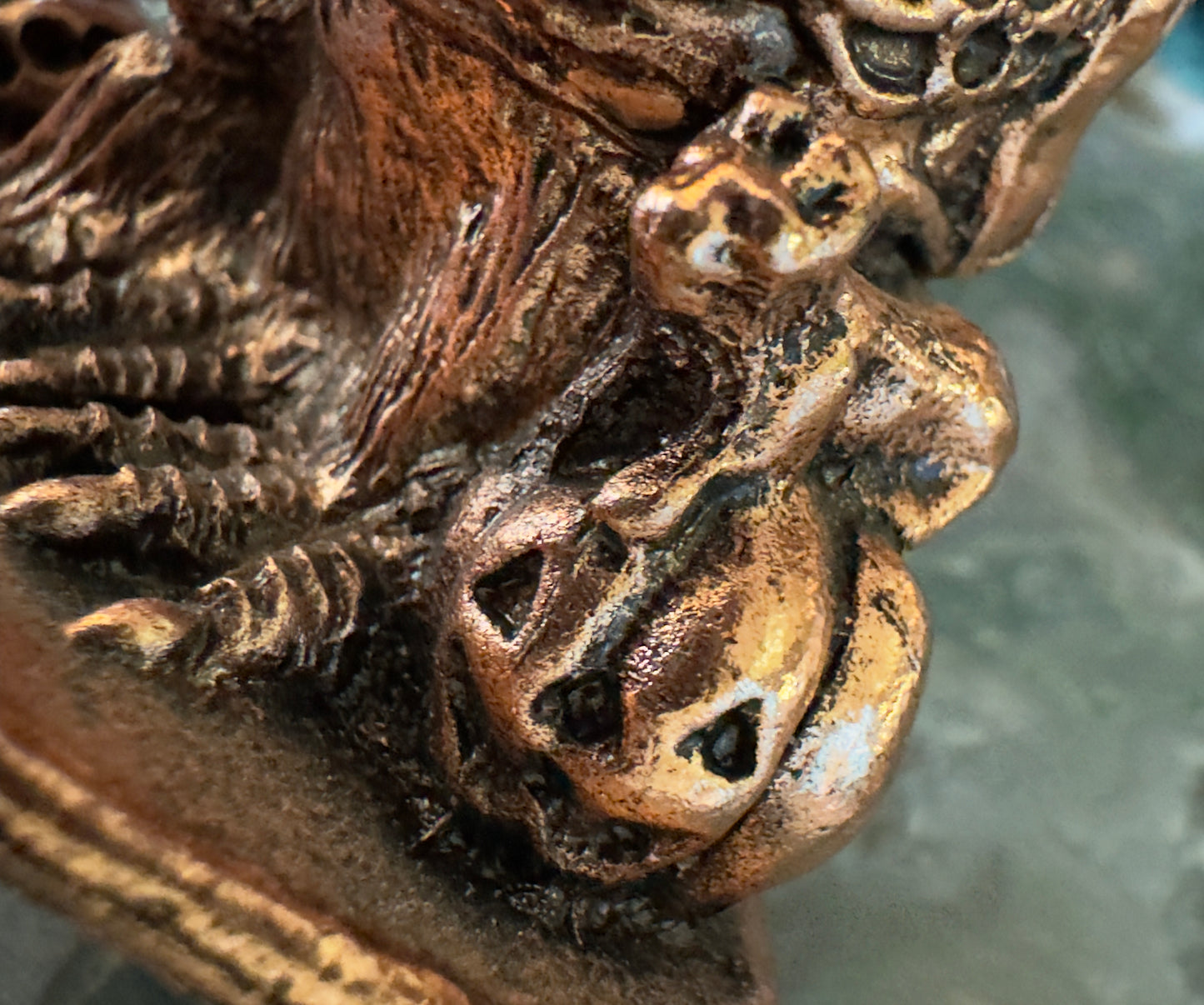 Close-up of a textured, metallic brown object featuring skull-shaped elements.