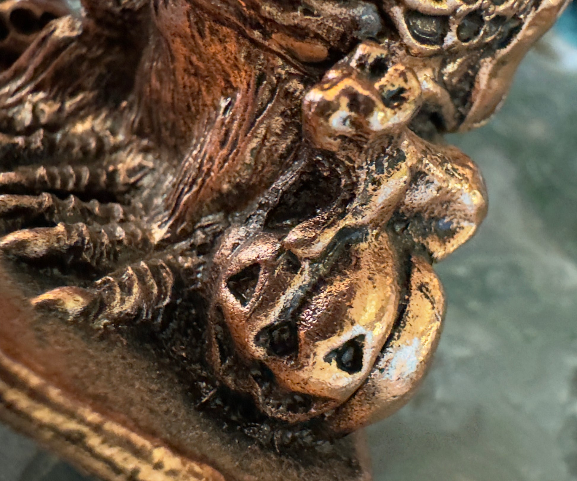 Close-up of a textured, metallic brown object featuring skull-shaped elements.