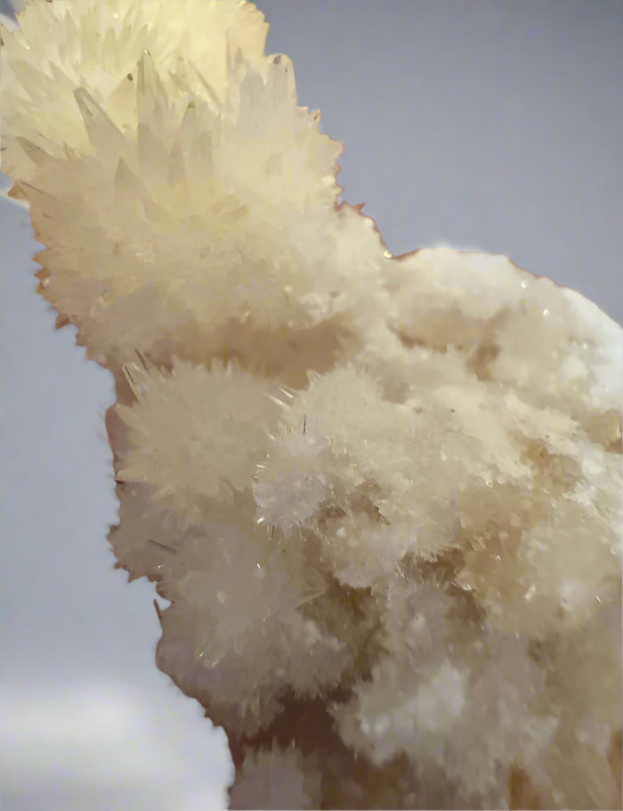 Close up Strontianite Crystal Specimen 