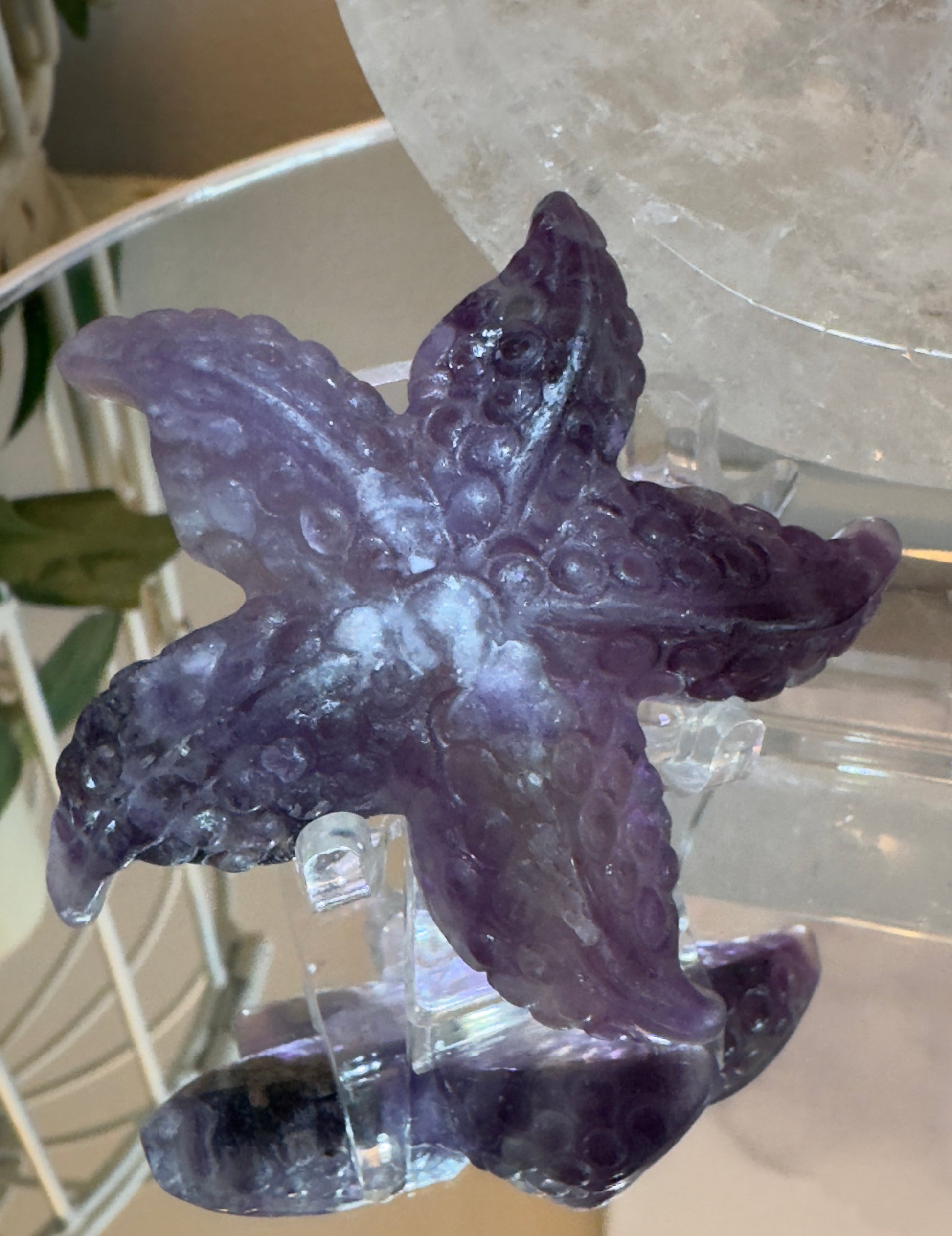 Clear Quartz Bowl with Starfish - Main Street Crystals & Minerals
