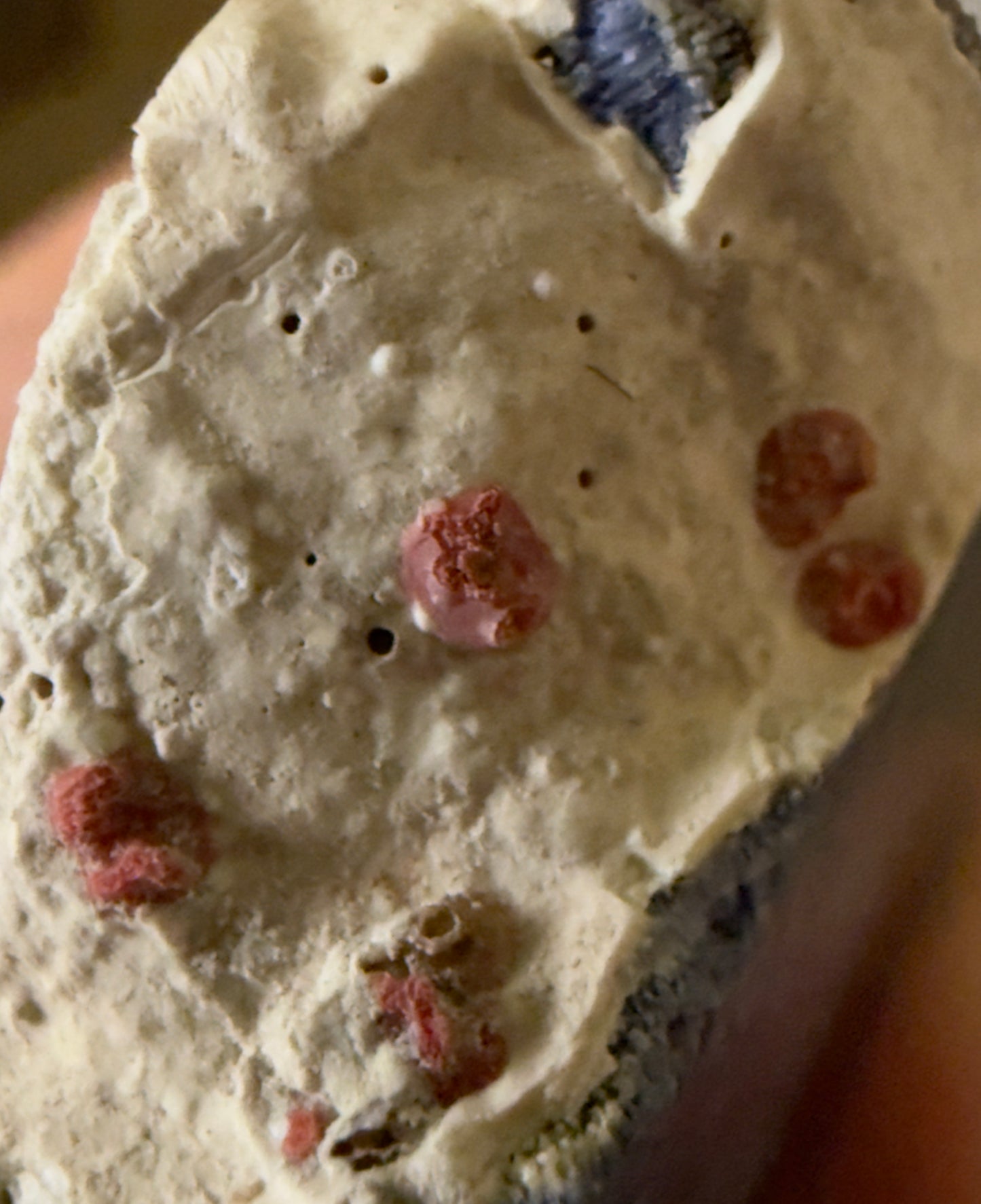 Close-up of a rock with red spots and tiny holes.