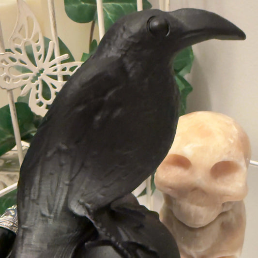 Raven Gothic divination crystal bundle with Obsidian raven