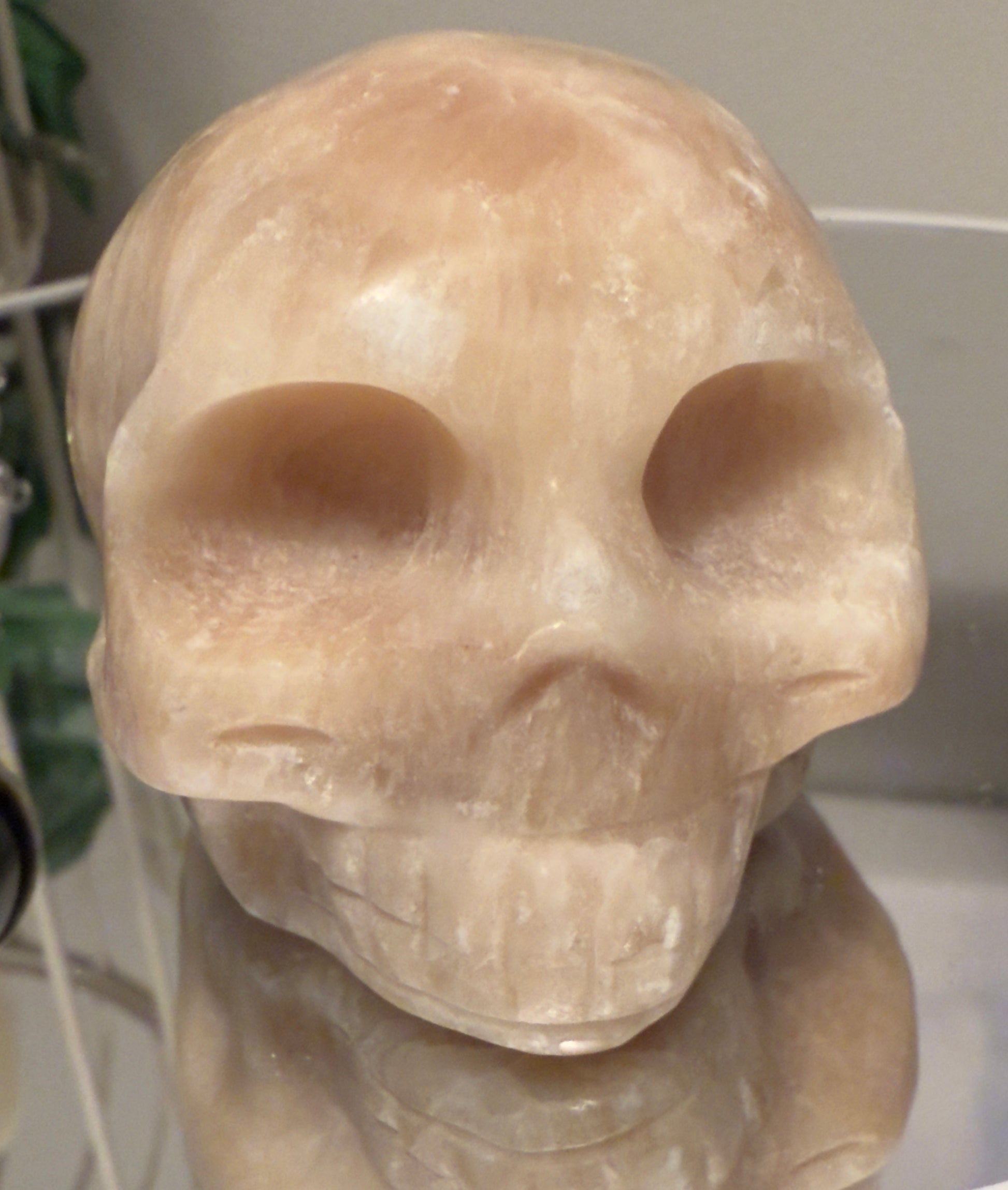 Stone skull with reflection.