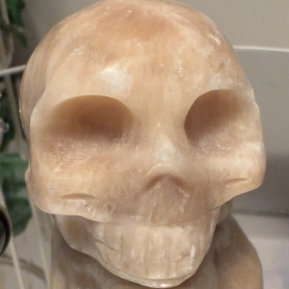 sculpted orange calcite skull on a glass stand