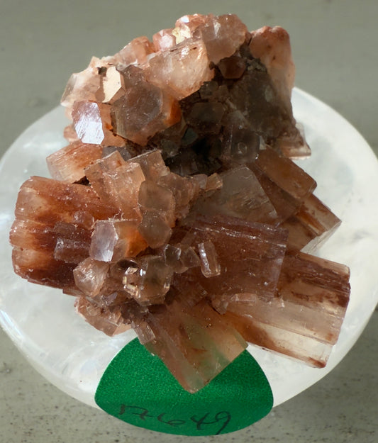 Cluster of reddish-brown aragonite crystals on a white iridescent disc with a green sticker.