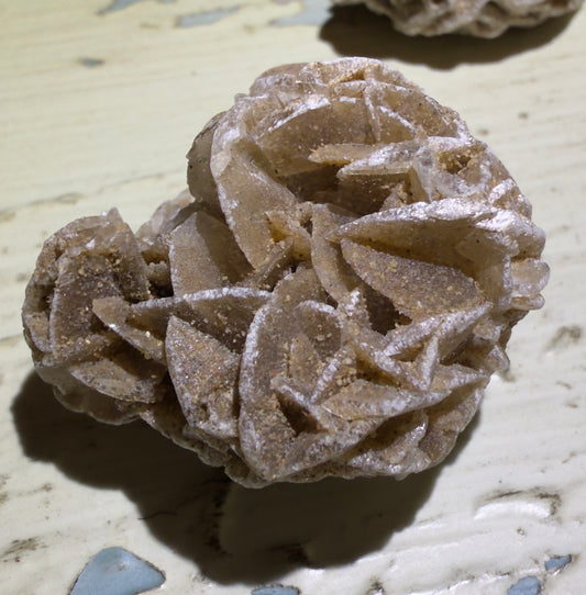 A tan and white desert rose crystal formation on a weathered surface.