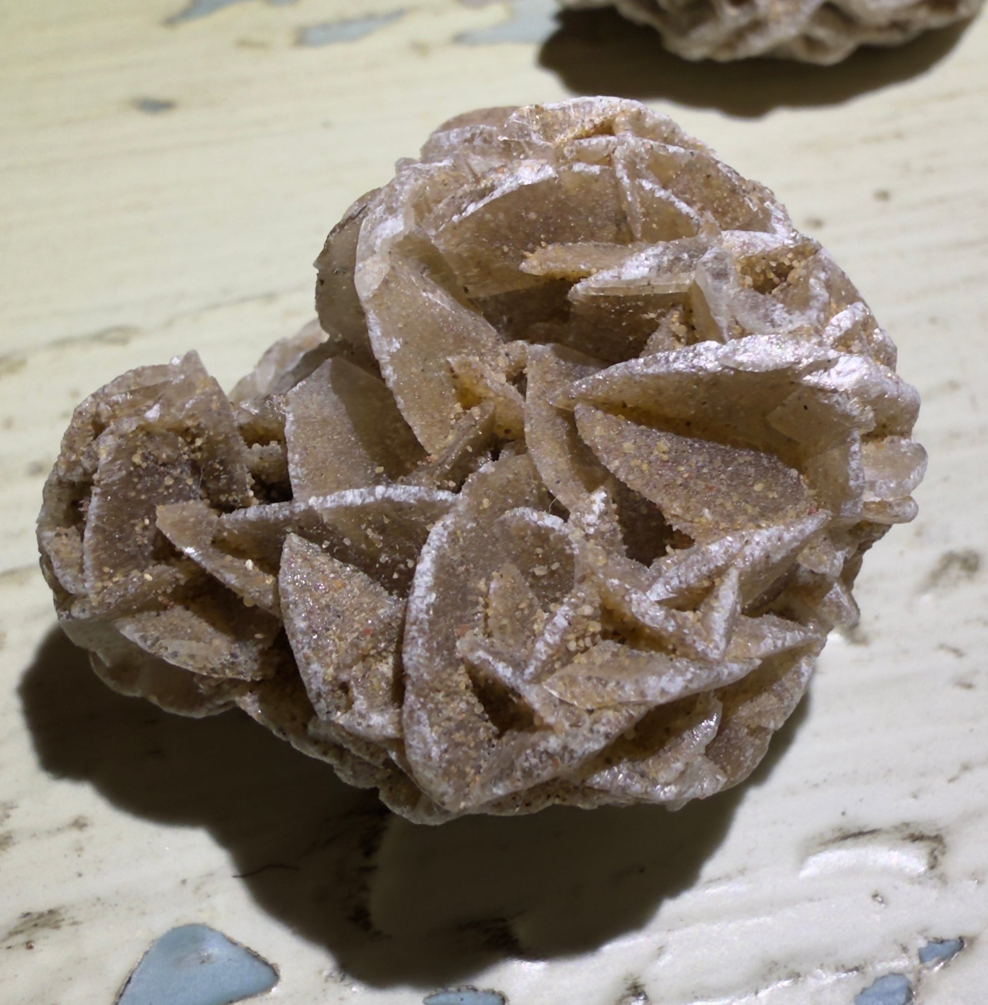 Close-up of a desert rose mineral formation with petal-like shapes.