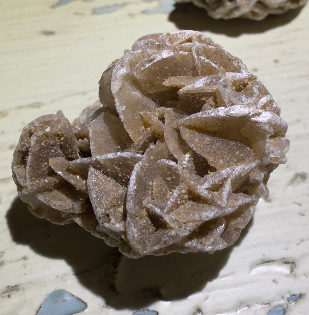 Selenite Desert Rose crystal formation on weathered surface