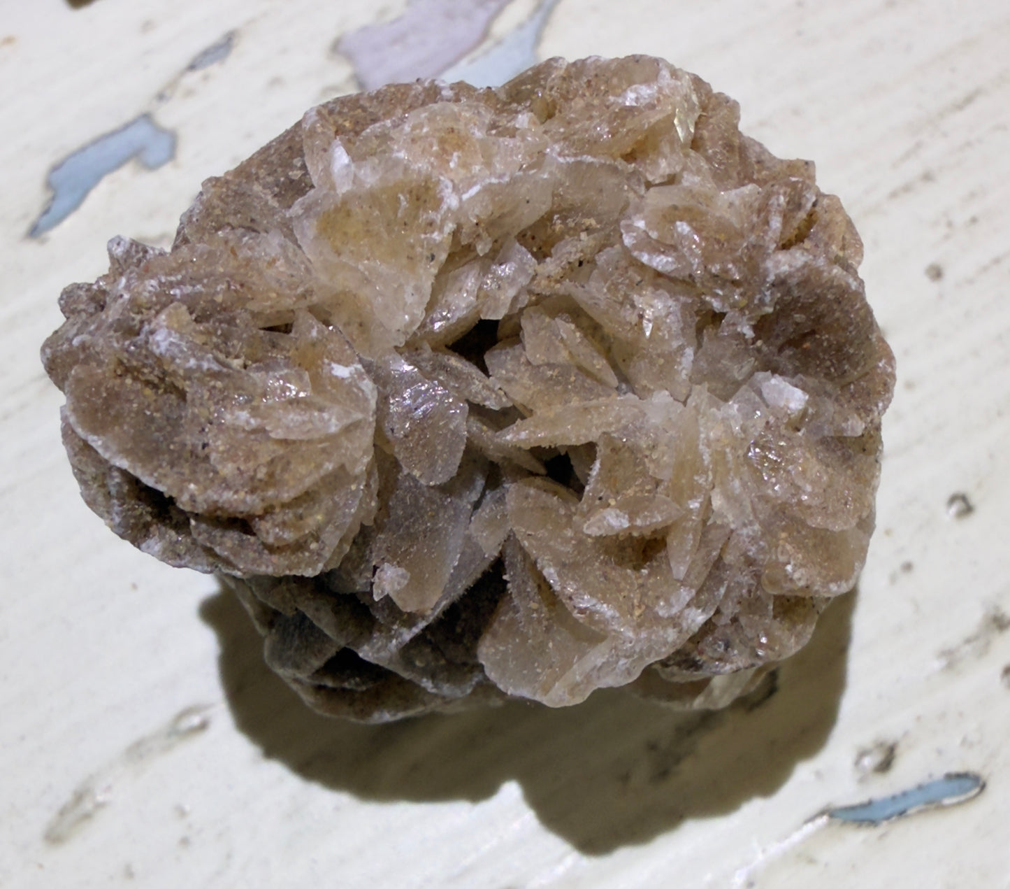 Tan, layered mineral formation resembling a rose.