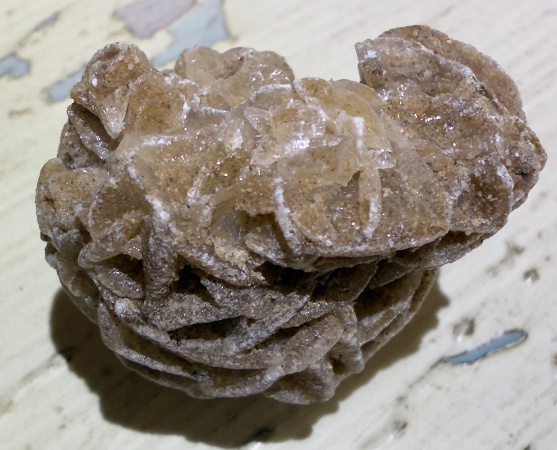 Tan and white desert rose selenite mineral.
