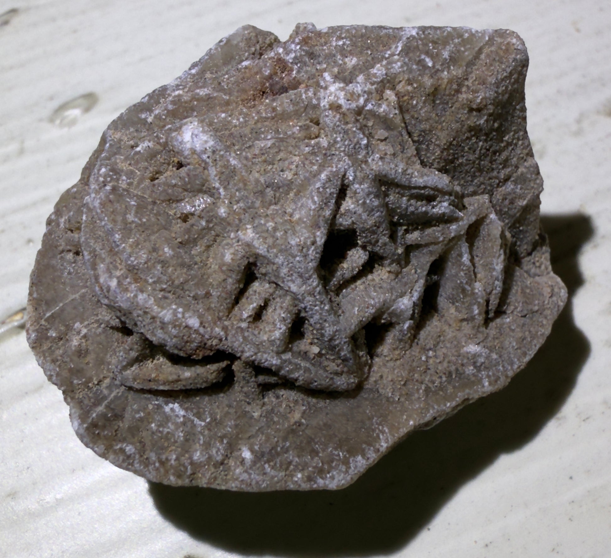 Desert rose selenite mineral on a white surface, casting a shadow.