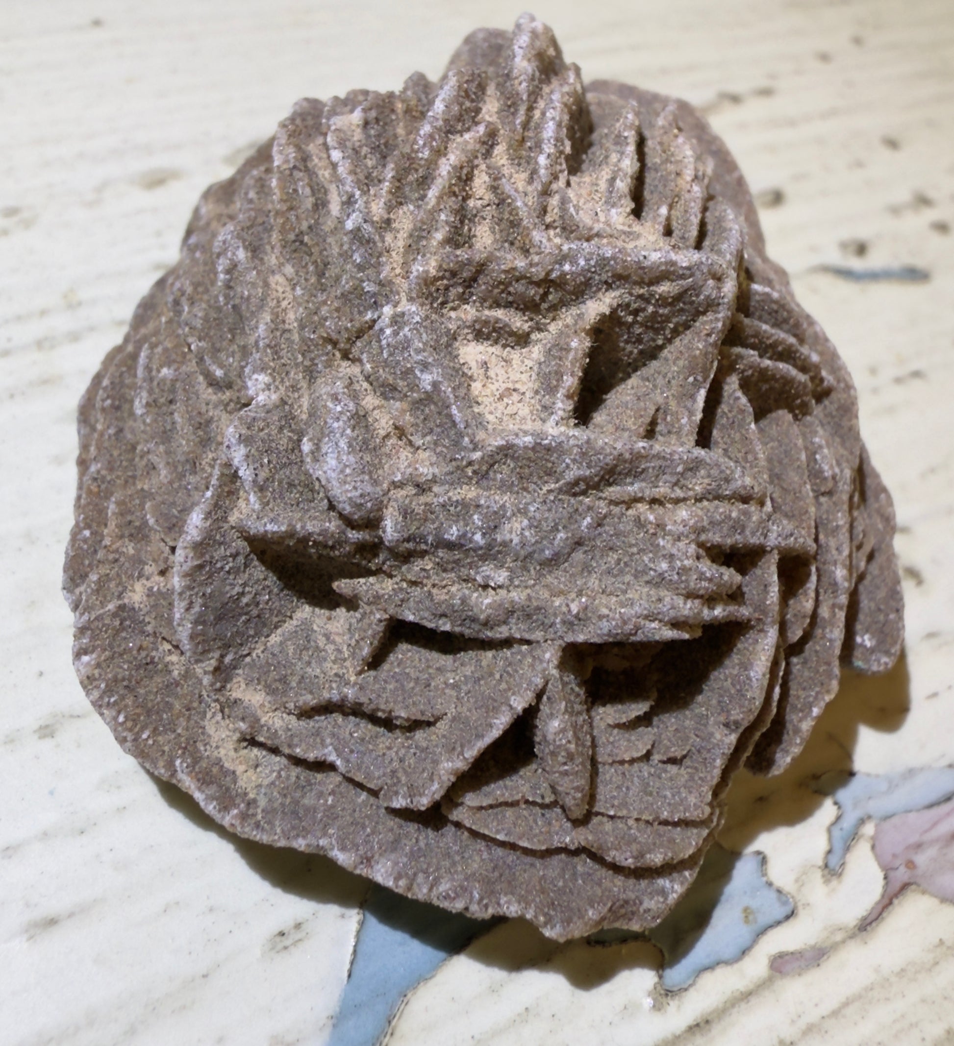A desert rose mineral specimen on a speckled surface.