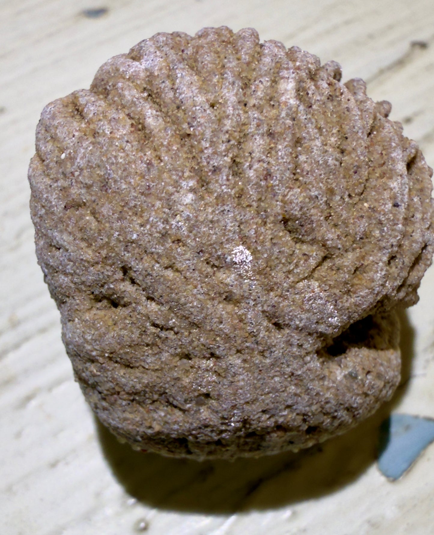 Sandy, textured rock with ridges.