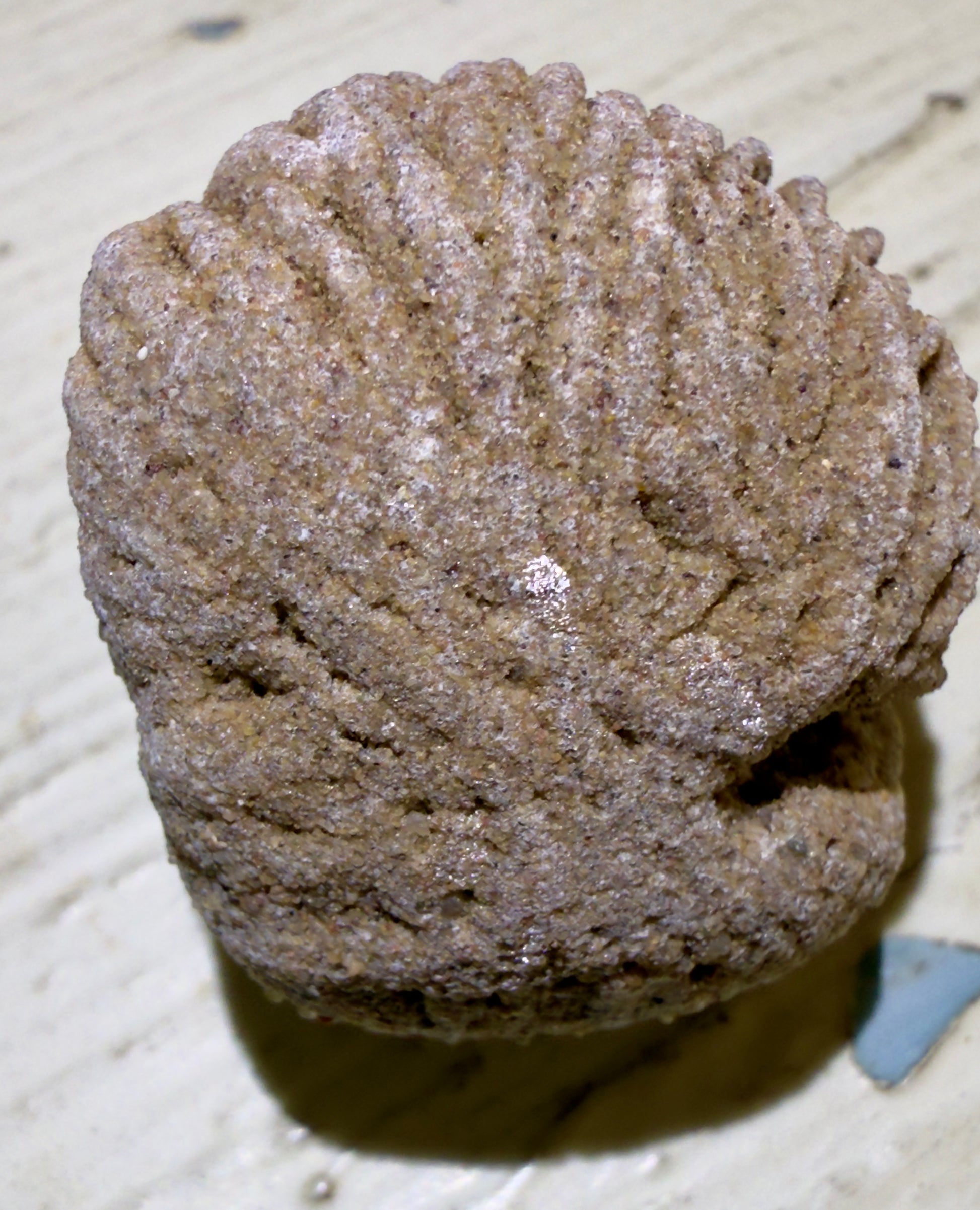 Sandy, textured rock with ridges.