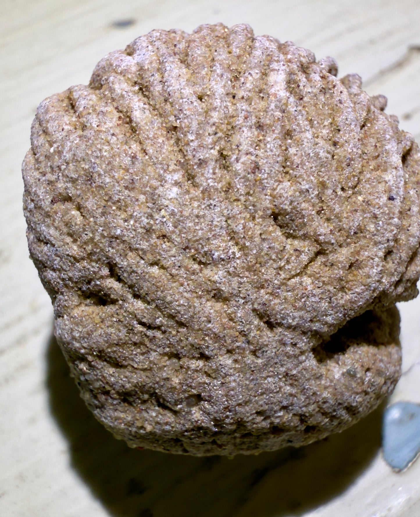 Tan, ridged, and textured rock.