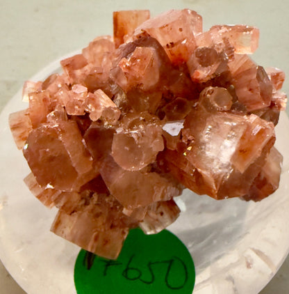 Aragonite Cluster 17650 - close up of dark orange and colors of iron details crystal cluster with Flos Ferri Main Street Crystals & Minerals