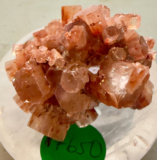 Aragonite Cluster 17650 - close up of dark orange and colors of iron details crystal cluster with Flos Ferri Main Street Crystals & Minerals