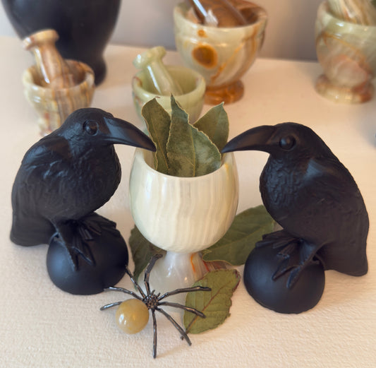 Black Obsidian Raven (Large) - Main Street Crystals & Minerals
