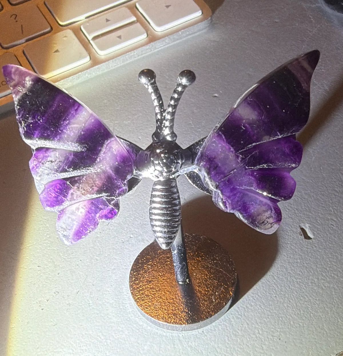 Main Street Crystals | Fluorite Mini Wings in Stand | Clarity | Wt 1.12 oz