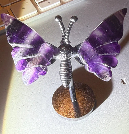 Main Street Crystals | Fluorite Mini Wings in Stand | Clarity | Wt 1.12 oz