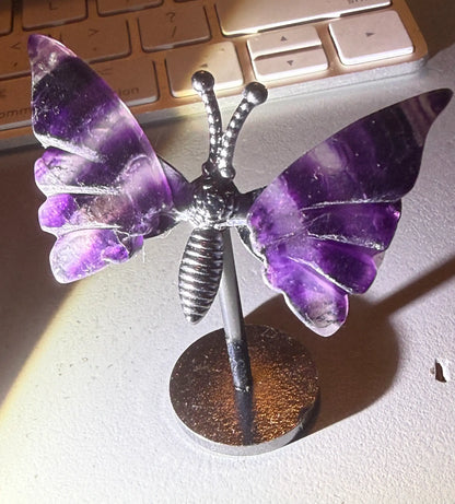 Main Street Crystals | Fluorite Mini Wings in Stand | Clarity | Wt 1.12 oz