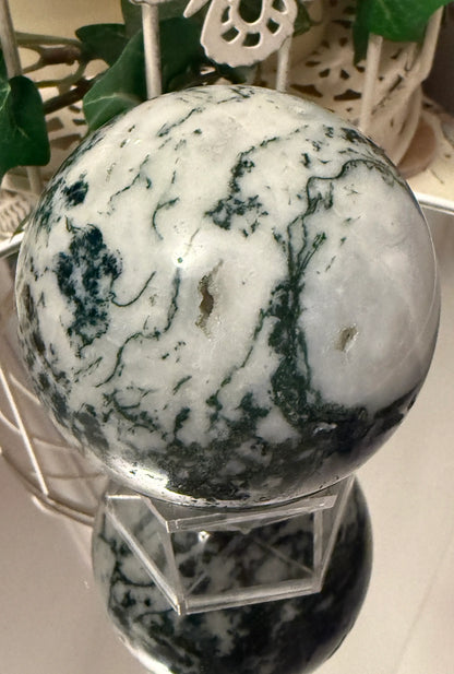 Tree Agate sphere B large natural dendritic Chalcedony