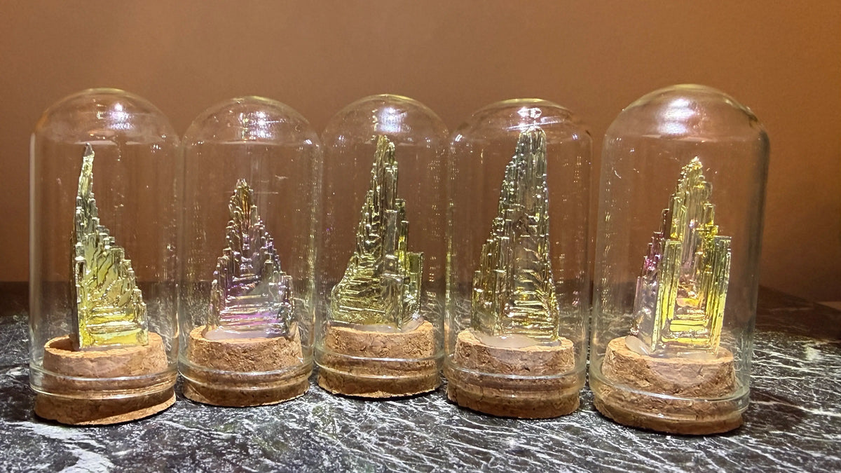 Mini Cloche Bismuth Specimens | Transformation and Inspiration