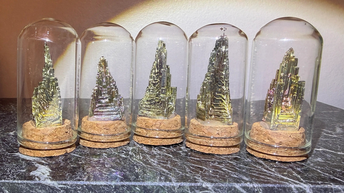 close up five bismuth specimens in glass cloche with cork display 