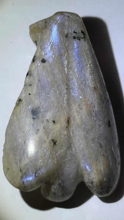 photo of the back of Rainbow Moonstone carved angel with beautiful soft blue adularescence 