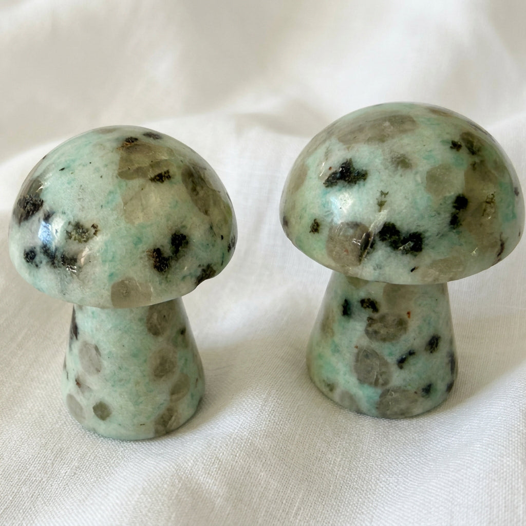 close up of two hand carved mushrooms. Crystal Material is kiwi jasper from New Zealand 