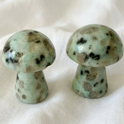 close up of two hand carved mushrooms. Crystal Material is kiwi jasper from New Zealand 