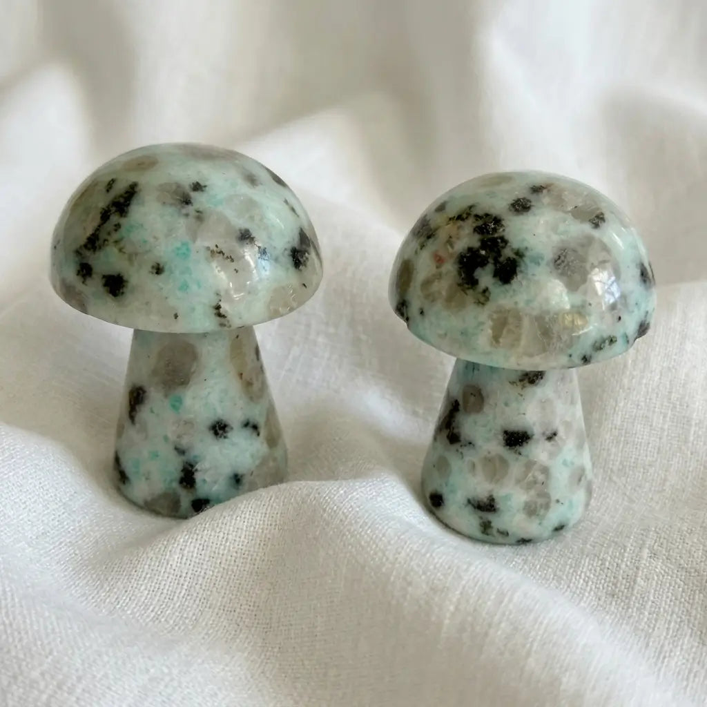 close up photo of two kiwi jasper hand carved mushrooms