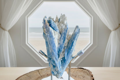 Close up of beautiful Blue Kyanite Specimen in a metal stand in front of an octagon window, sheer curtains and a muted beach scene behind 