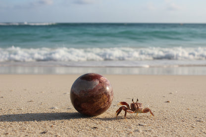 polychrome sphere with beautiful browns, tans, ivory colors on a sandy beach with waves in the distance and a small crab next to the sphere