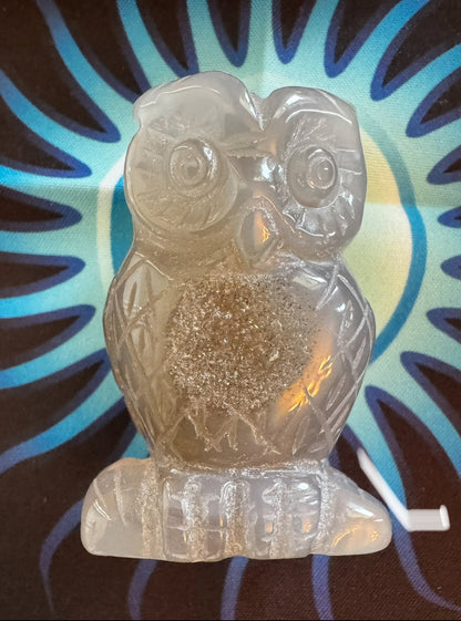 Druzy Agate Moon & Treasures - Crown Chakra Crystal Collection - Main Street Crystals & Minerals