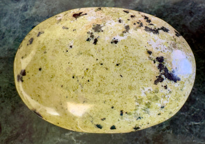 Polished oval serpentine stone with black inclusions.