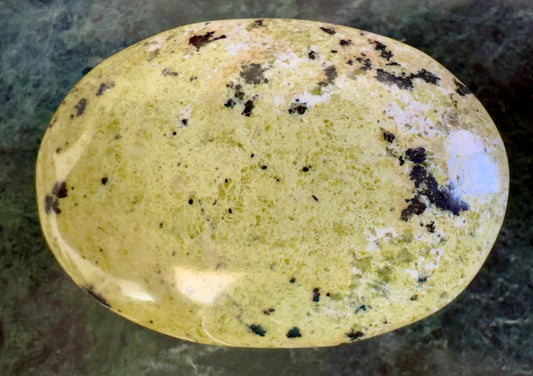 Polished oval serpentine stone with black inclusions.