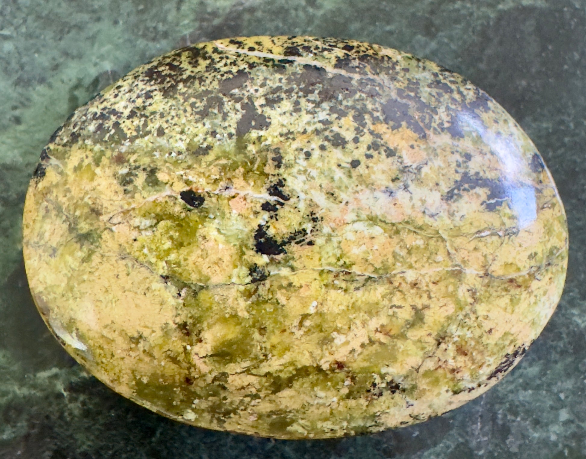 Polished, oval-shaped, green and brown stone.
