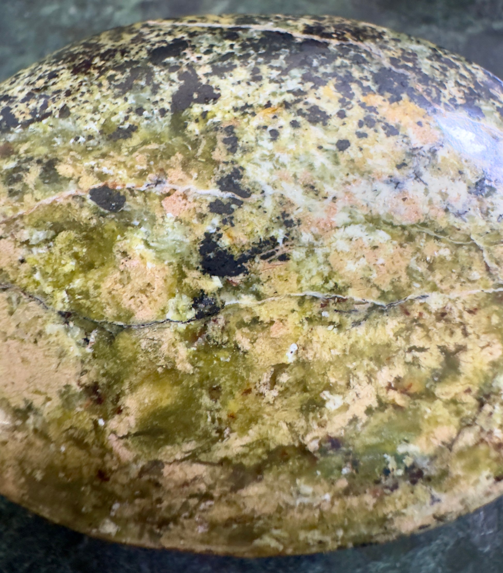 Polished green-beige stone with dark brown spots.
