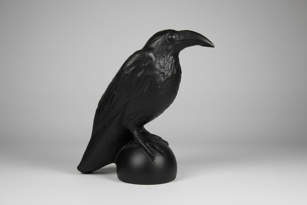 Black obsidian raven photo not enhanced