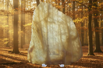 Banded Calcite slab with bands flowing through the specimen that look like trees hues are golden brown and tans