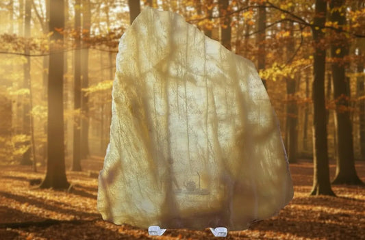 Banded Calcite slab with bands flowing through the specimen that look like trees hues are golden brown and tans