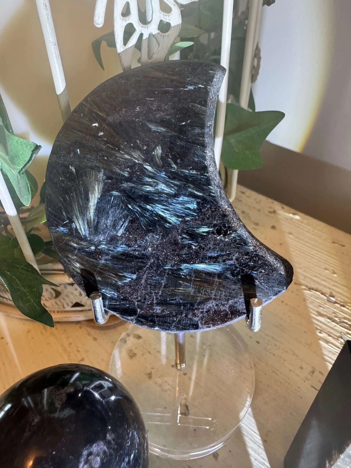 Arfvedsonite mineral set with Black Obsidian frog side view