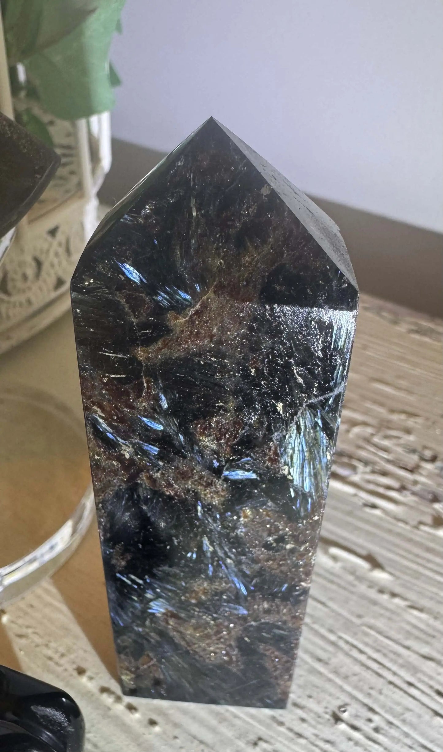 Black Obsidian frog carving with Arfvedsonite mineral specimen
