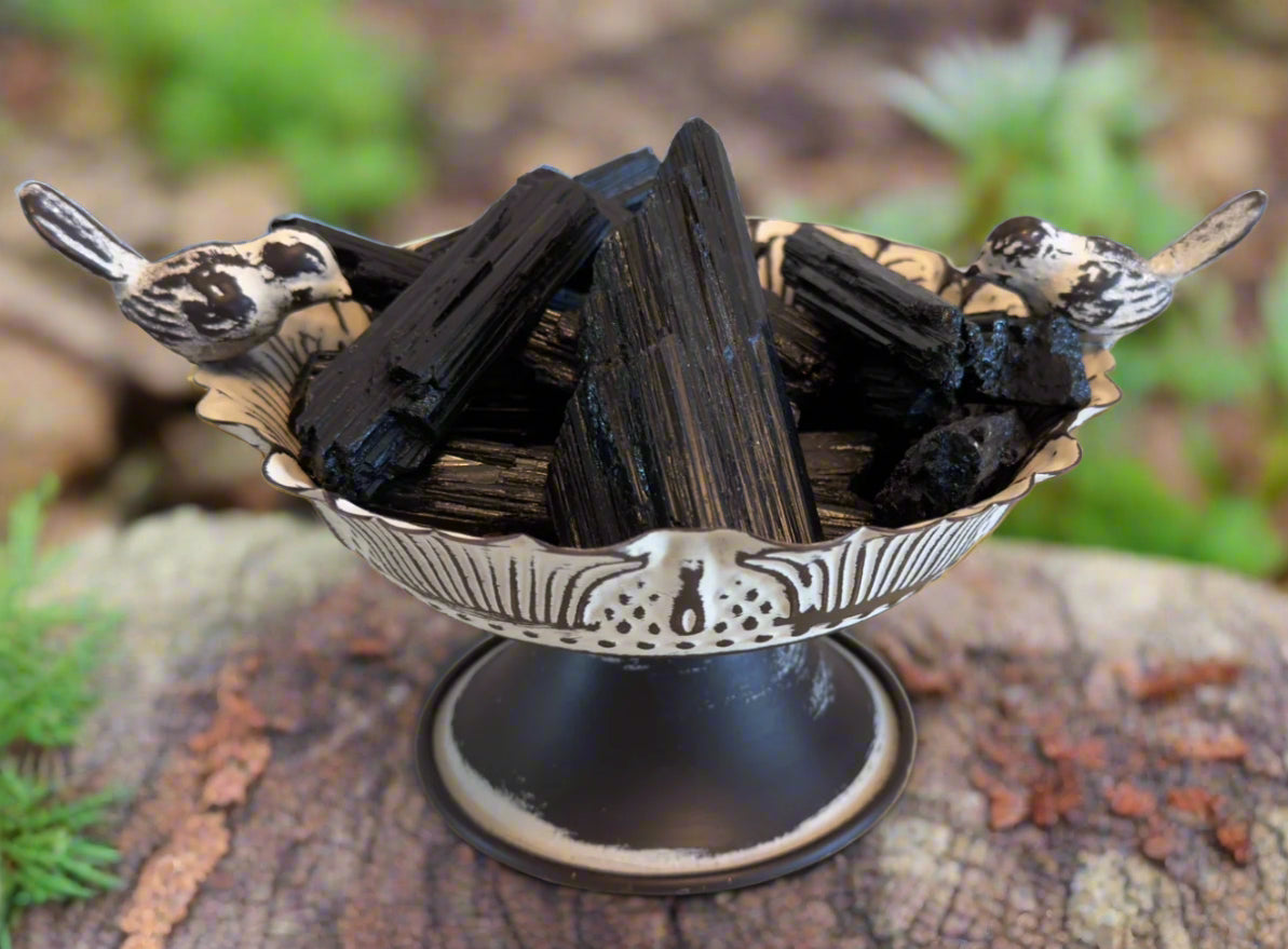 Black Tourmaline Raw Specimens - Main Street Crystals & Minerals