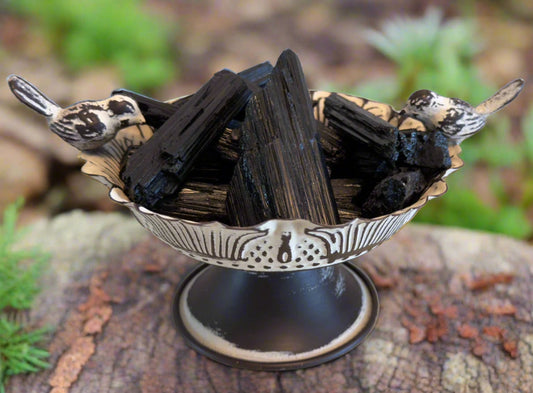 Black Tourmaline Raw Specimens - Main Street Crystals & Minerals