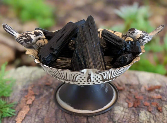 Black Tourmaline raw crystal specimens front view