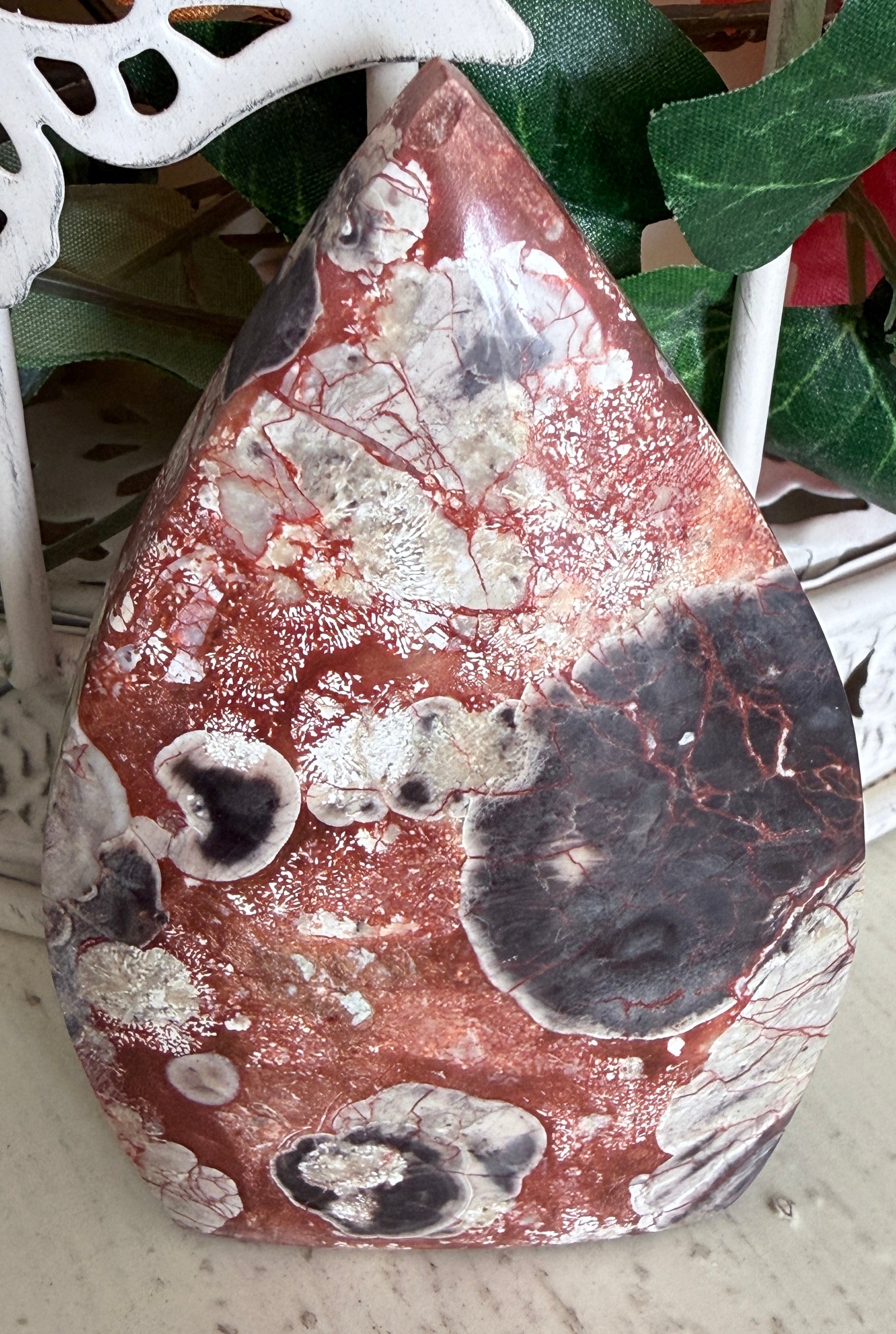 Brecciated Jasper Free Form Vivid red, oranges and black  background birdcage with green leaves on a wooden desk 
