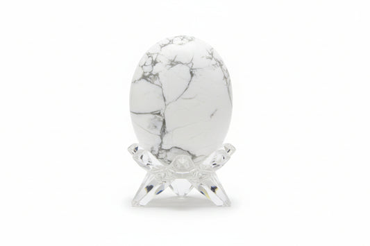 Howlite gray and white palm stone oval shaped in a glass stand white background