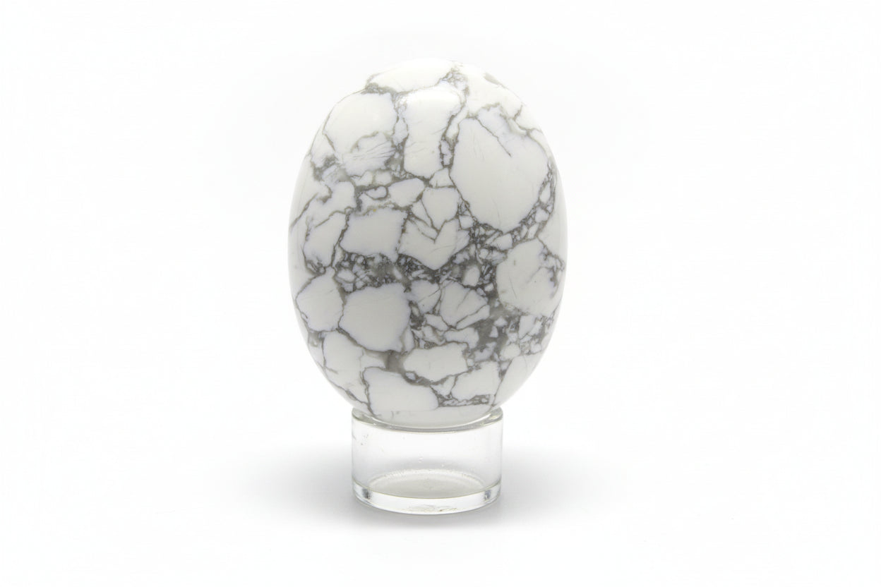gray and white howlite mineral oval shaped rock in a glass stand, white background